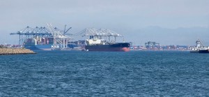 Shipping container being unloaded at the Port of Long Beach with stacked containers visible throughout the port.